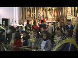 ¡Hosanna!  ¡Bendito el que viene, en nombre del Señor! Domingo de Ramos, Bendición, Procesión y Eucaristía.