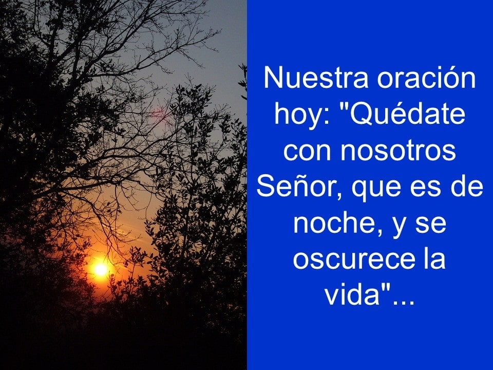 Domingo26Abril2020_15