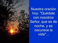 Domingo26Abril2020_15