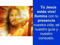 Domingo26Abril2020_18