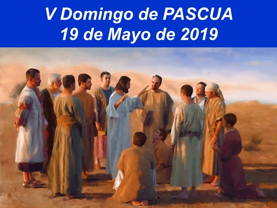Domingo19mayo2019_01