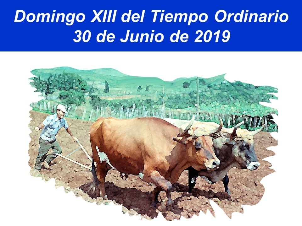 Domingo30junio2019_01