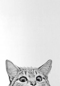 3F0F25ED-C5F3-4ADA-98FE-8A1EDB59A85F-209x300.jpg
