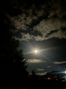 C73068FA-6075-477F-A250-3092DC7E2F86-222x300.jpg